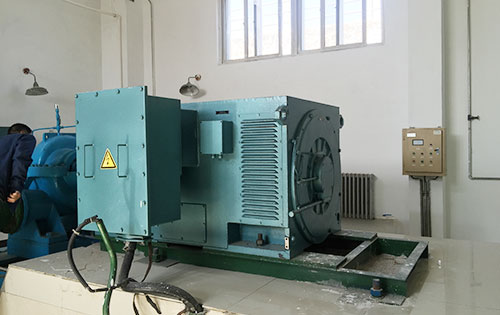安居某水电站工程主水泵使用我公司高压电机一年质保