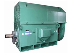 安居Y系列6KV高压电机